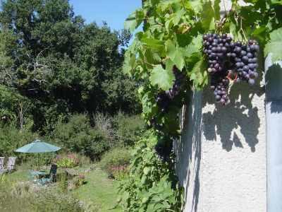 Chez Tartaud Villa Lathus St Remy Eksteriør billede