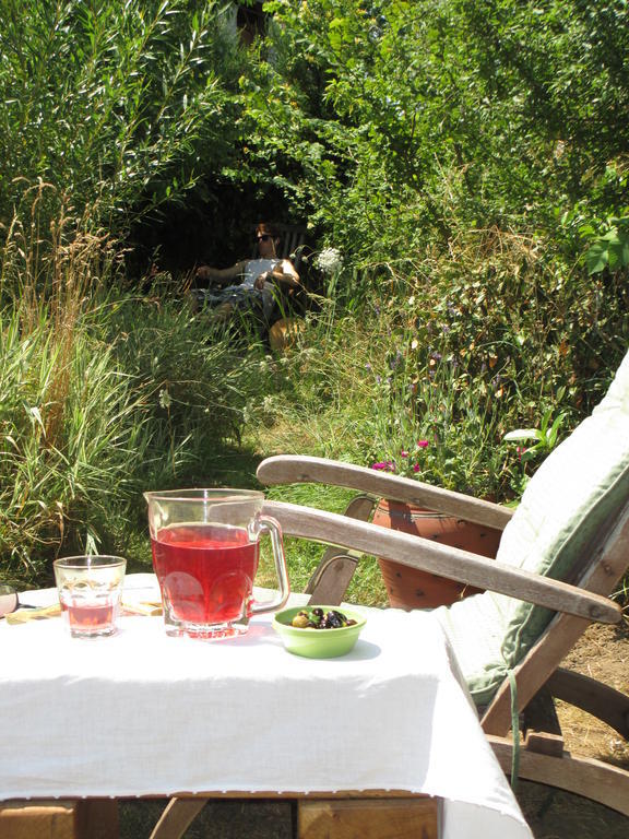 Chez Tartaud Villa Lathus St Remy Eksteriør billede